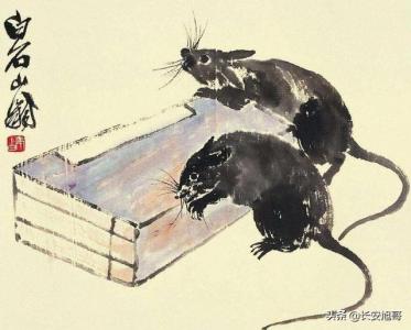 十二生肖的鼠起源有什么缺点
